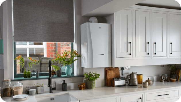 Boiler Installation Whitefield